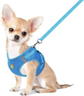 FEimaX Dog Harness and Leash Set, No Pull Breathable Soft Mesh Puppy Vest by FEimaX