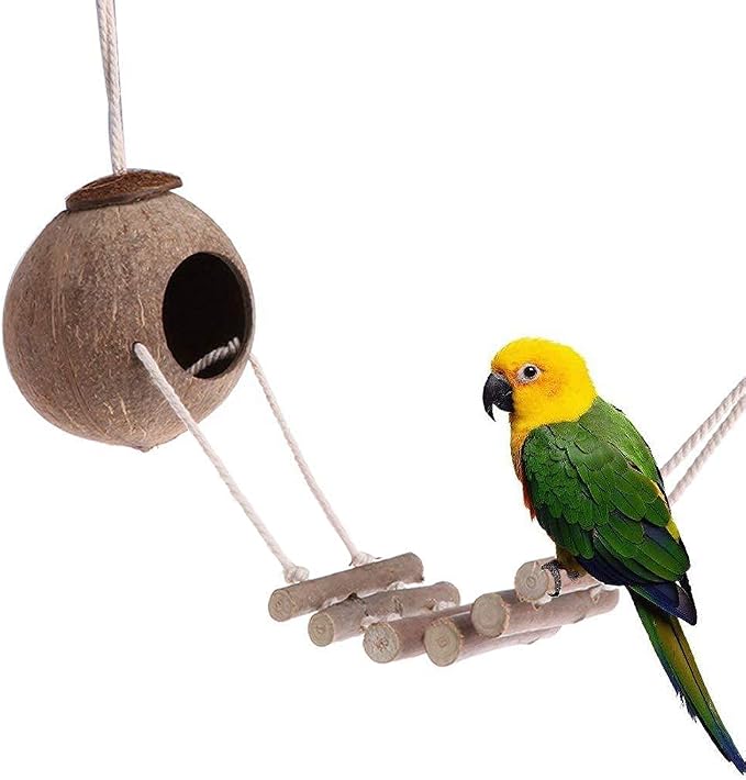 9-Piece Parrots Chewing Toy Set - Image 2