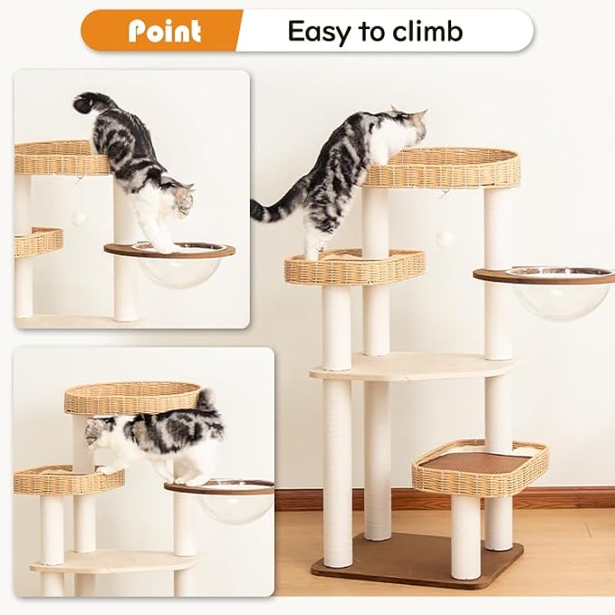 48'' Cat Tree for Large Cats, Modern Cat Tree Multi-Level Condo - Image 6