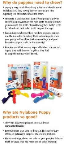 Nylabone Original Bone Flexi Chew Toy - Image 10