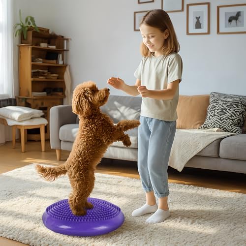 Dog Balance Disc 14", Dog Balance Equipment with Cushion and Pump, Pet