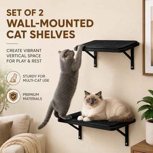 Cat Wall Shelves Set of 2, Black Solid Wood Window Perches with Sisal