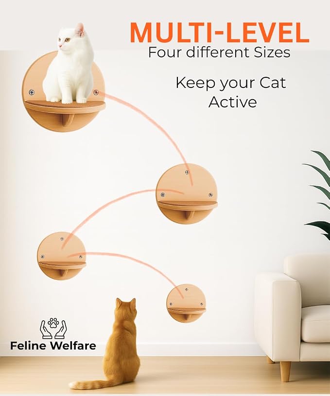 Cat Wall Shelves - Image 2