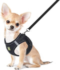FEimaX Dog Harness and Leash Set, No Pull Breathable Soft Mesh Puppy Vest by FEimaX