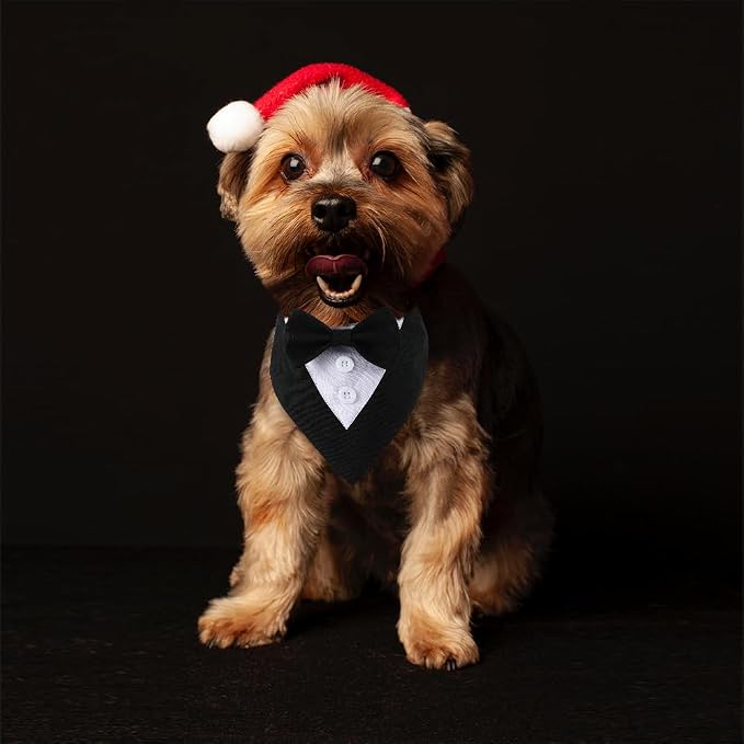 Formal Dog Tuxedo Adjustable Pet Collar - Image 4
