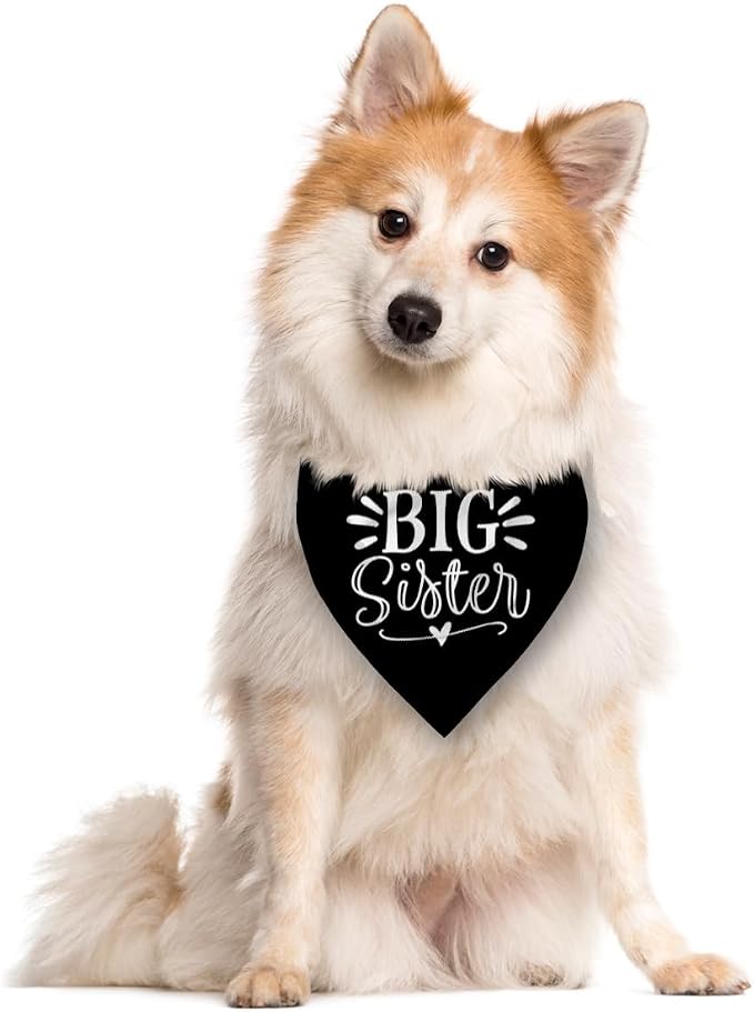 Big Sister Bandana for Dog, Pet Pregnancy Announcement, Big Sister Dogs Shirt - Image 2