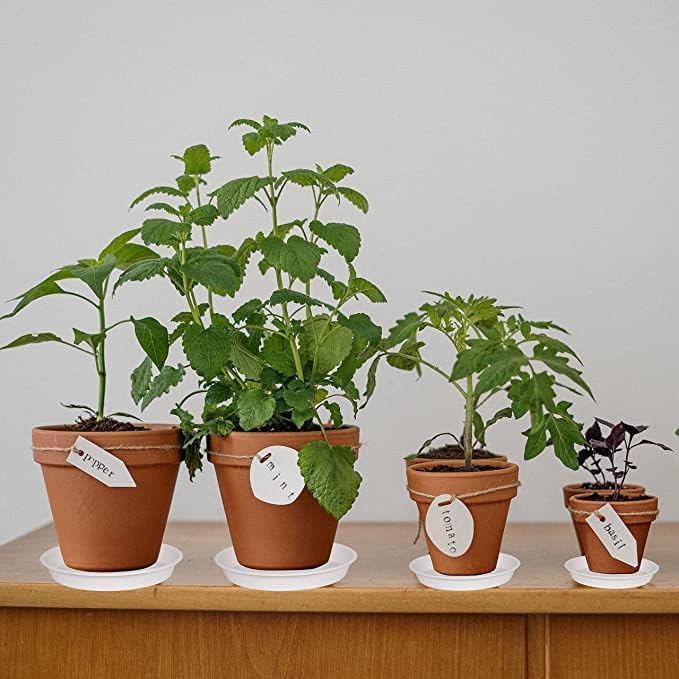 6 Pack of 10 inch Plant Saucer, Heavy Duty Plastic Plant Saucer 10" Round - Image 4