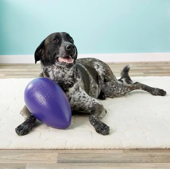 Jolly Pets Jolly Egg Dog Toy, 8 Inches/Medium - Image 6