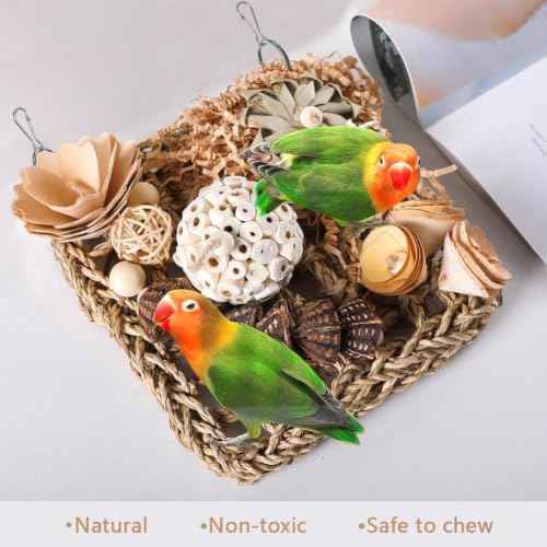 Bird Foraging Toys Natural Bird Toys Conure Toys Parrot Shredding