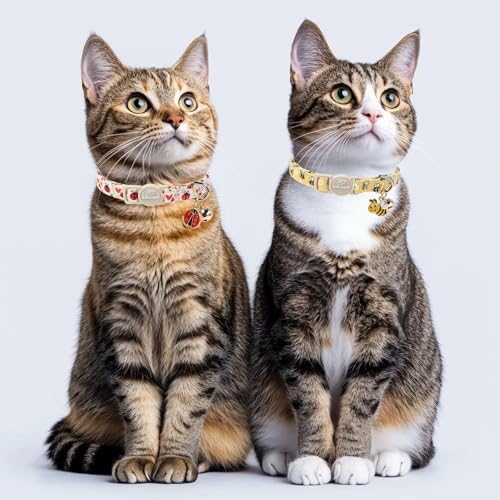 2 Pack Cute Cat Collars - Cartoon Bee Ladybug Breakaway Cat Collar