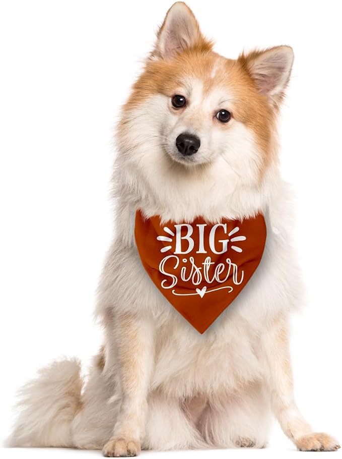 Big Sister Bandanas for Dog, Pet Pregnancy Announcement, Dark Orange Dog Bandana - Image 2