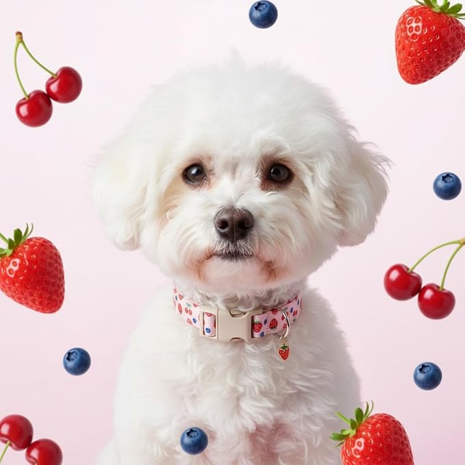 Small Dog Collar, Cute Dog Collar - Image 8