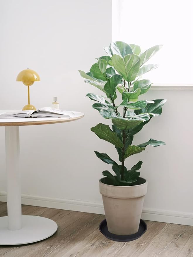 6 Pack 10 inch Plant Saucer, Heavy Duty Plastic Plant Saucers 10 inch Round - Image 6