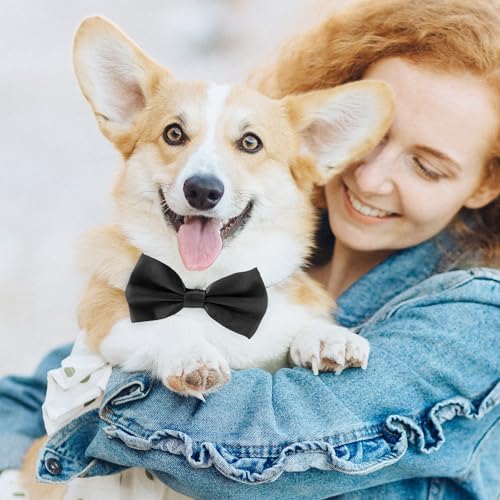 Black Bow Tie for Dogs, KOOLMOX Adjustable Dog Bow Tie Collar for