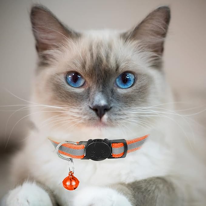 2 Pack Cat Collars Quick Release Reflective Kitten Collar - Image 3