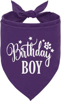 Birthday Boy Dog Bandanas, Dog Birthday Bandana, Birthday Bandana by corner+wind