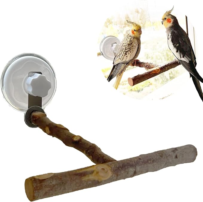 Portable Bird Perch Stand- T-Shaped Natural Apple Wood by Qimilenzy