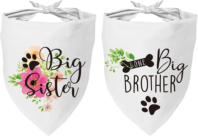 2 Packs Big Sister Brother Pregnancy Announcement Dog Bandana, Gender Reveal by YROVWENQ