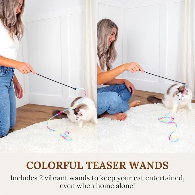 Cat Toys Set Cat Fishing Pole Retractable Wand Suction Cup & Hanging Teaser Wand - Image 4