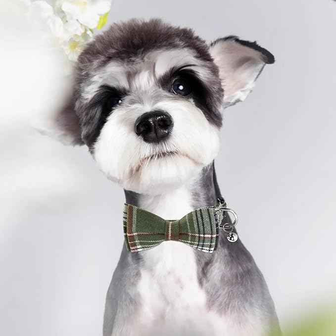SuperBuddy Dog Collar, Adjustable Dog Collar