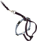PetSafe Come with Me Kitty Harness and Bungee Leash by PetSafe