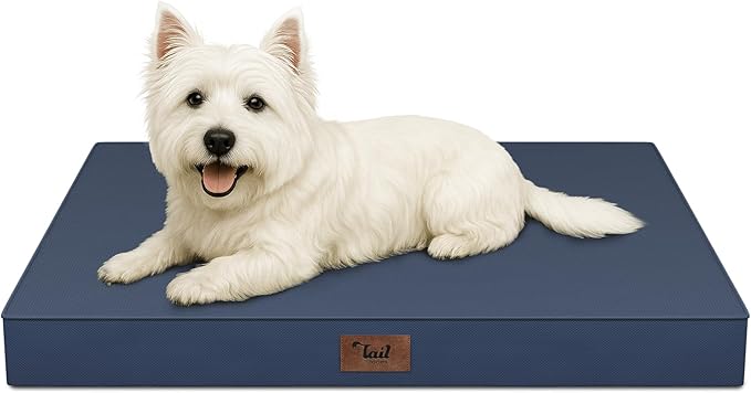 Outdoor Dog Bed for Small Dogs & Cats, Waterproof Dog Crate Mat Orthopedic Egg by TailStories