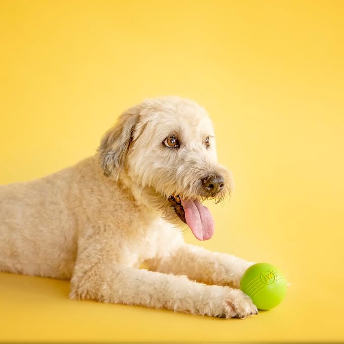 JW Pet Dog iSqueak Ball Dog Toy - Image 7
