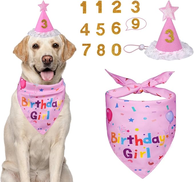 Dog Birthday Decorations, Dog Birthday Hat by Yicostar