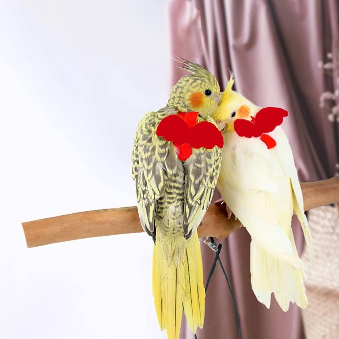 Dnoifne Pet Parrot Bird Harness and Leash, Adjustable Training Design Anti-Bite - Image 3