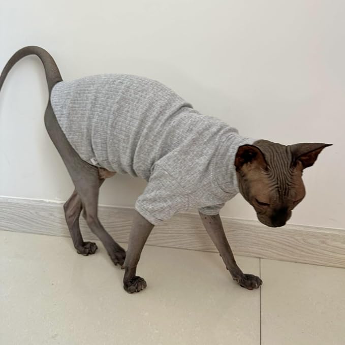 Sphynx Hairless Cats Shirt Cotton Cat Turtleneck Sweater Pullover Kitten - Image 4