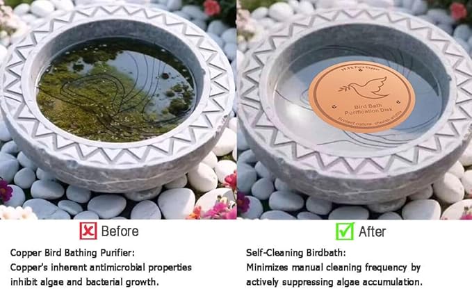2Pack Bird Bath Copper Purification Disk | 0.6mm Reinforced 99.9% Pure Copper | - Image 5