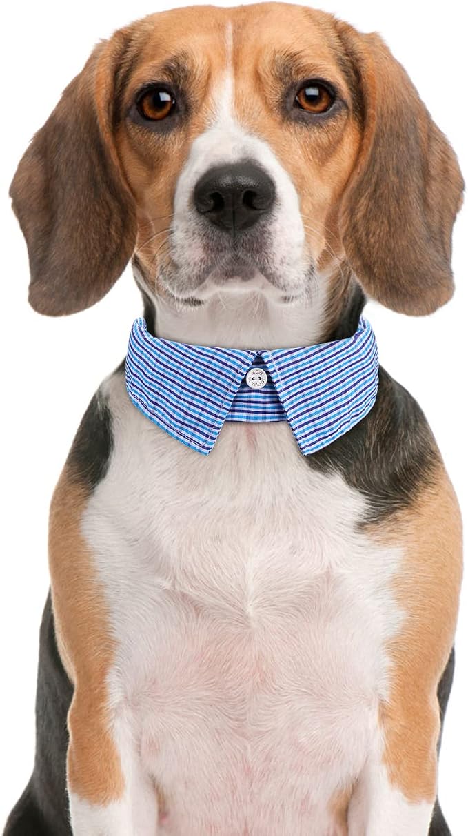 Faleela Cotton Plaid Shirt Style Dog Collar Soft Cute, Boy Dog Collar - Image 3