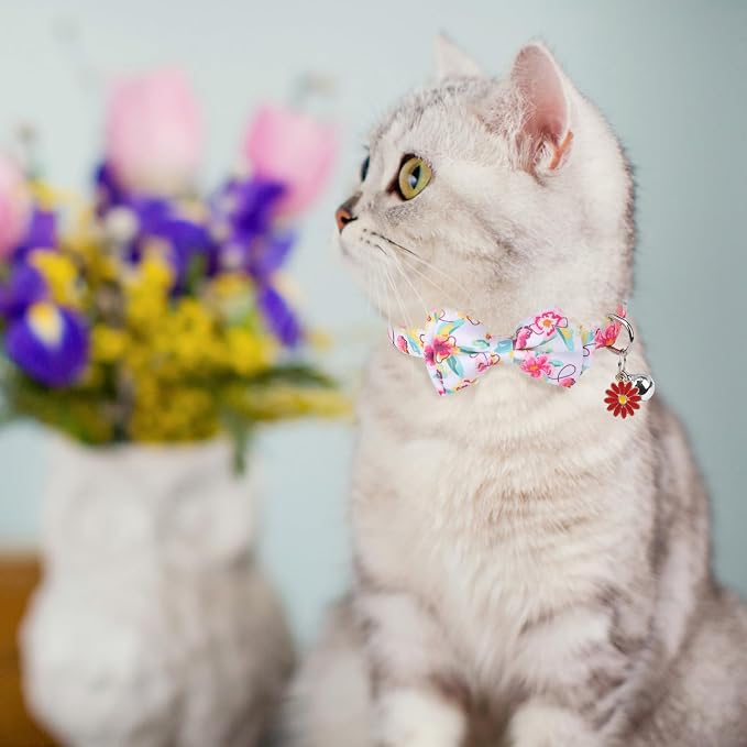 SCENEREAL Spring Cat Collar Breakaway - Image 2