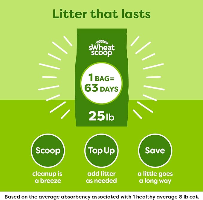 sWheat Scoop Natural Wheat Multi-Cat Litter, Superior Clumping - Image 6