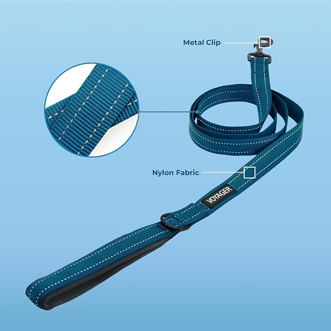 Best Pet Supplies Voyager Reflective Dog Leash or Collar - Image 2