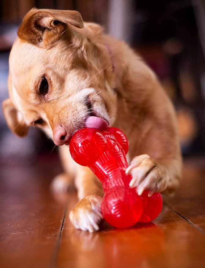 SPOT Play Strong Bone- Durable TPR Long Lasting Dog Chew - Image 4
