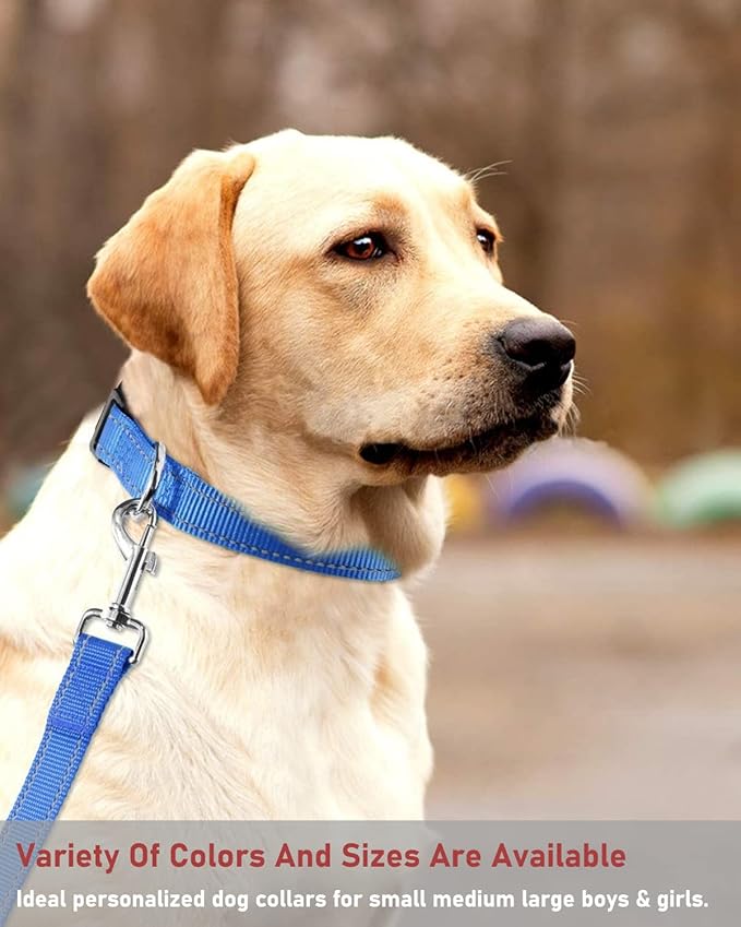 Reflective Dog Collar with Buckle Adjustable Safety Nylon Collars - Image 7