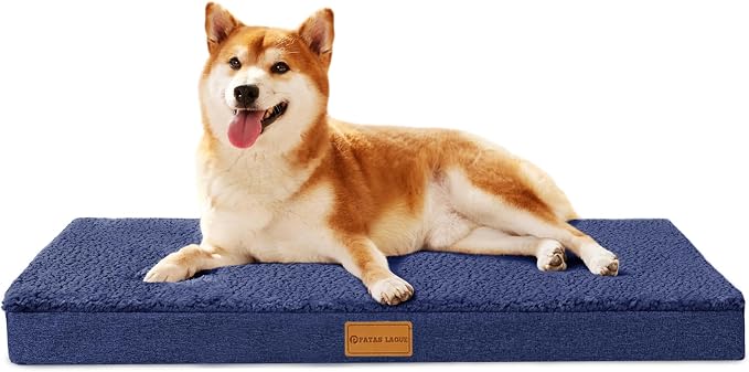 Patas Lague Orthopedic Dog Bed for Small Dogs 20''X15'', Soft Waterproof Egg by PatasLague