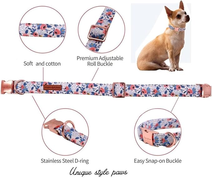 Unique Style Paws Dog Collar - Image 2