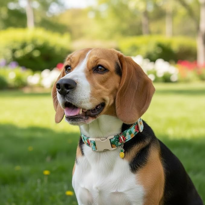 Summer Dog Collar with Tropical Pattern, Cute Dog Collar - Image 8