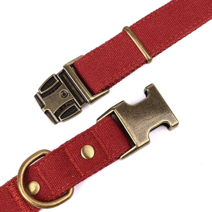 PET ARTIST Dog Collars for Small Dogs, Soft Padded Premium Nylon Dog Collar - Image 4