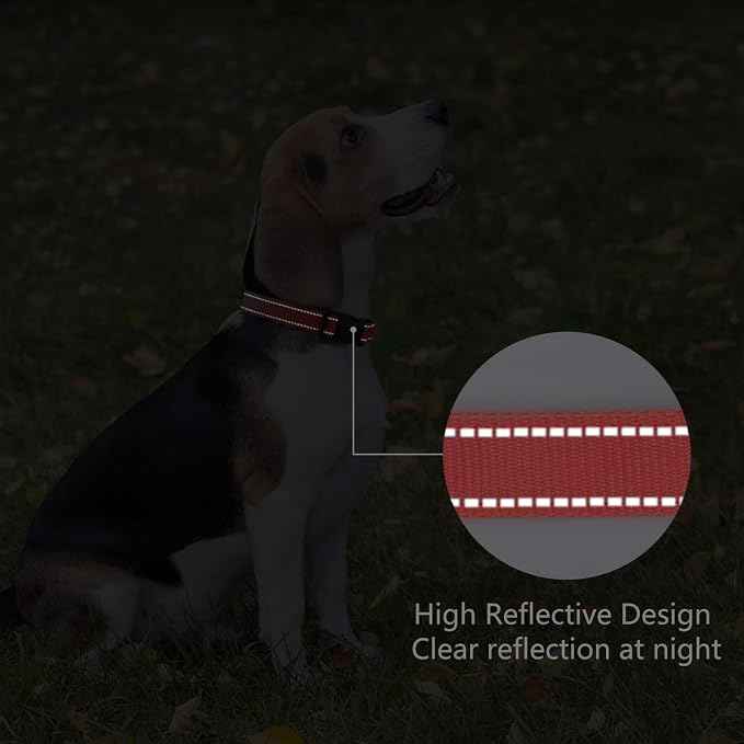 Reflective Dog Collar Padded