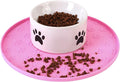 Silicone Pet Food Mat by Joyinjojo