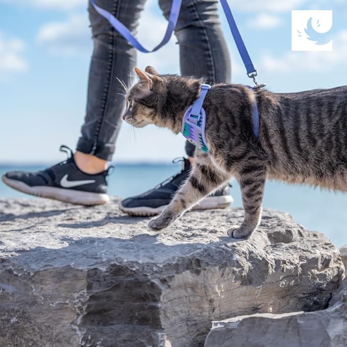 RC Pets Adventure Kitty Cat Harness | Adjustable Airmesh Vest - Image 6