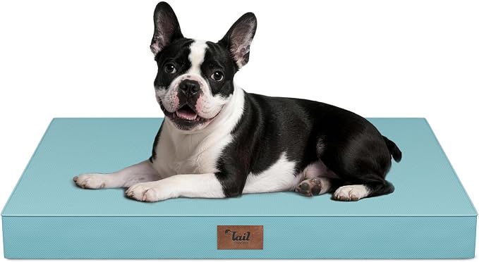 Outdoor Orthopedic Dog Bed for Medium Dogs & Cats, Waterproof Flat Pet Mat by TailStories
