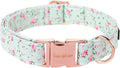 Unique style paws Dog Collar Metal Buckle Green Flowers Collar Gift Durable by Uniquestylepaws