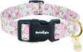 Easter Dog Collar, Spring Dog Collar by Unknown