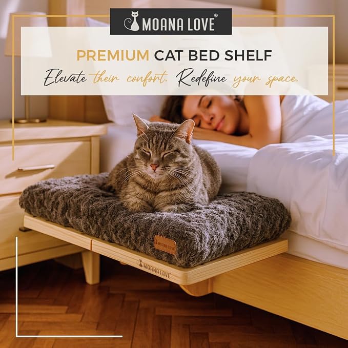 Cat Window Bed - Cozy Window Perch - Image 3