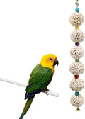 Bird Chewing Toy, Bird Sola Ball Toy by Jinkoozz