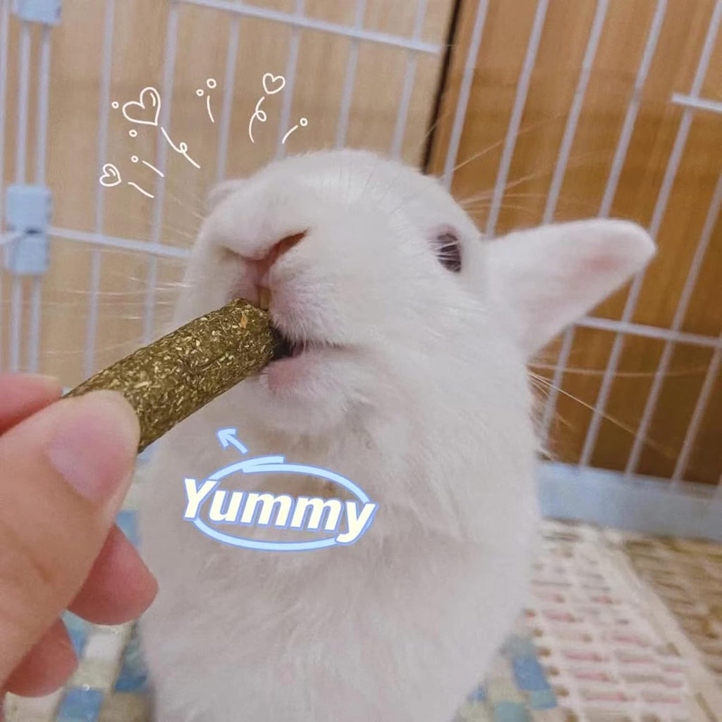 Grddaef 20 PCS Bunny Chew Toys, Apple Wood and Timothy Sticks - GlobalHabitat Supply